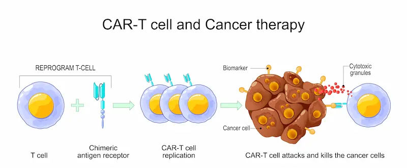 Qartemi CAR T-Cell Therapy for Blood Cancer in India